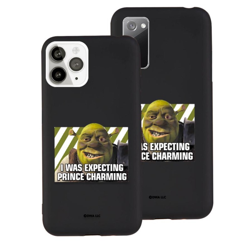 Capa Oficial Shrek - Expecting Prince