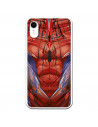Capa para iPhone XR Oficial da Marvel Spiderman Torso - Marvel