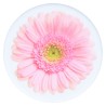 PopSocket Basic Gerber Daisy