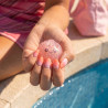 Mistery Tropic Mini Dumpling