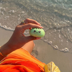 Mistery Tropic Mini Dumpling
