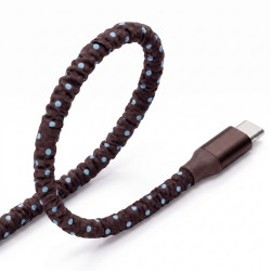Cabo Tipo C para C Blue - Back to School