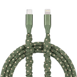 Cabo Tipo C para Lightning Green - Back to School