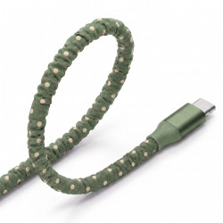 Cabo Tipo C para Lightning Green - Back to School